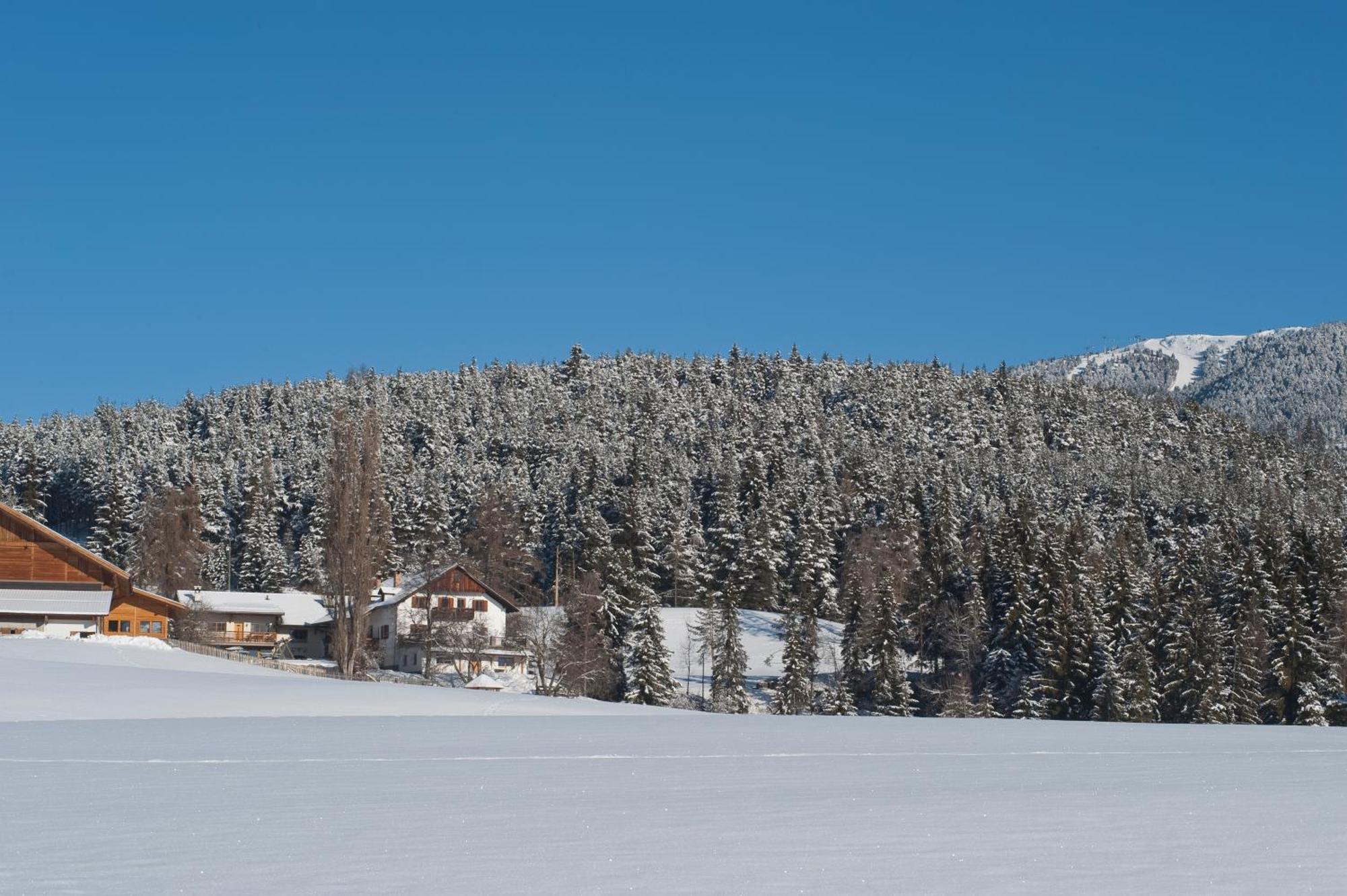 Unterpfaffstall-Hof Collalbo Extérieur photo