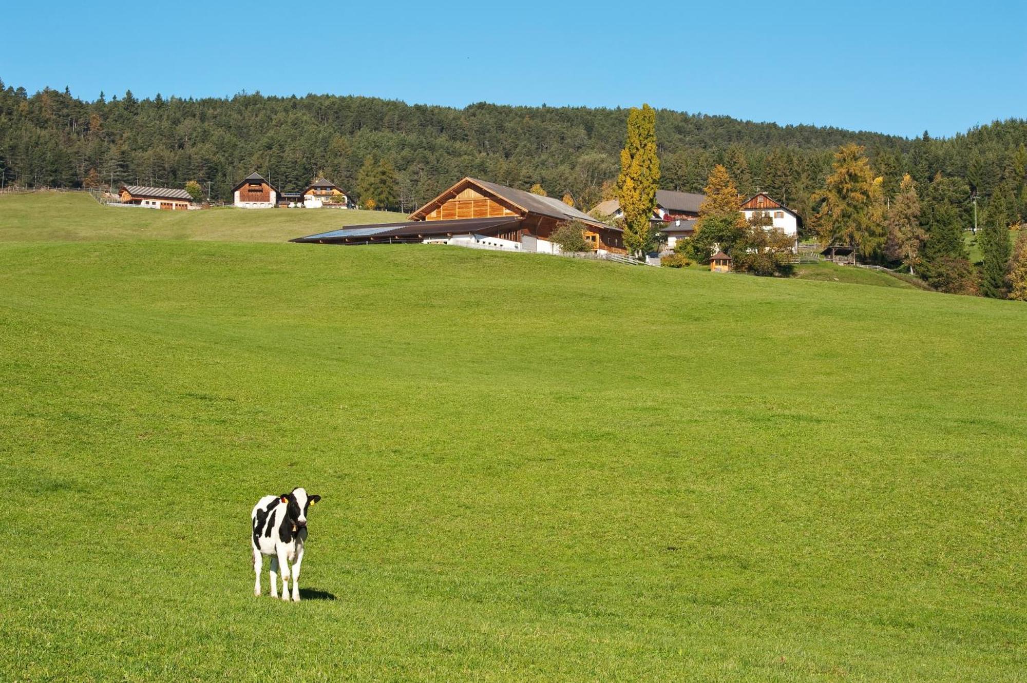 Unterpfaffstall-Hof Collalbo Extérieur photo